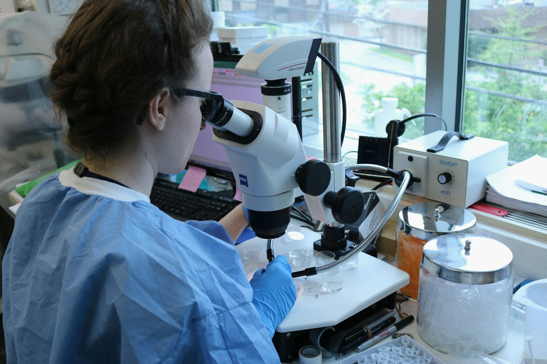 Microplastics found in sperm and eggs of majority of people tested